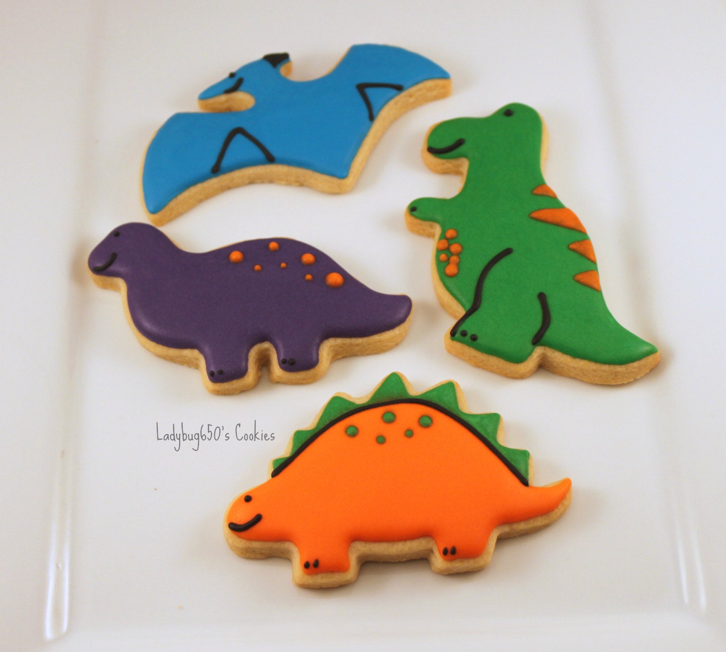 12 Dinosaur cookies, handmade & iced