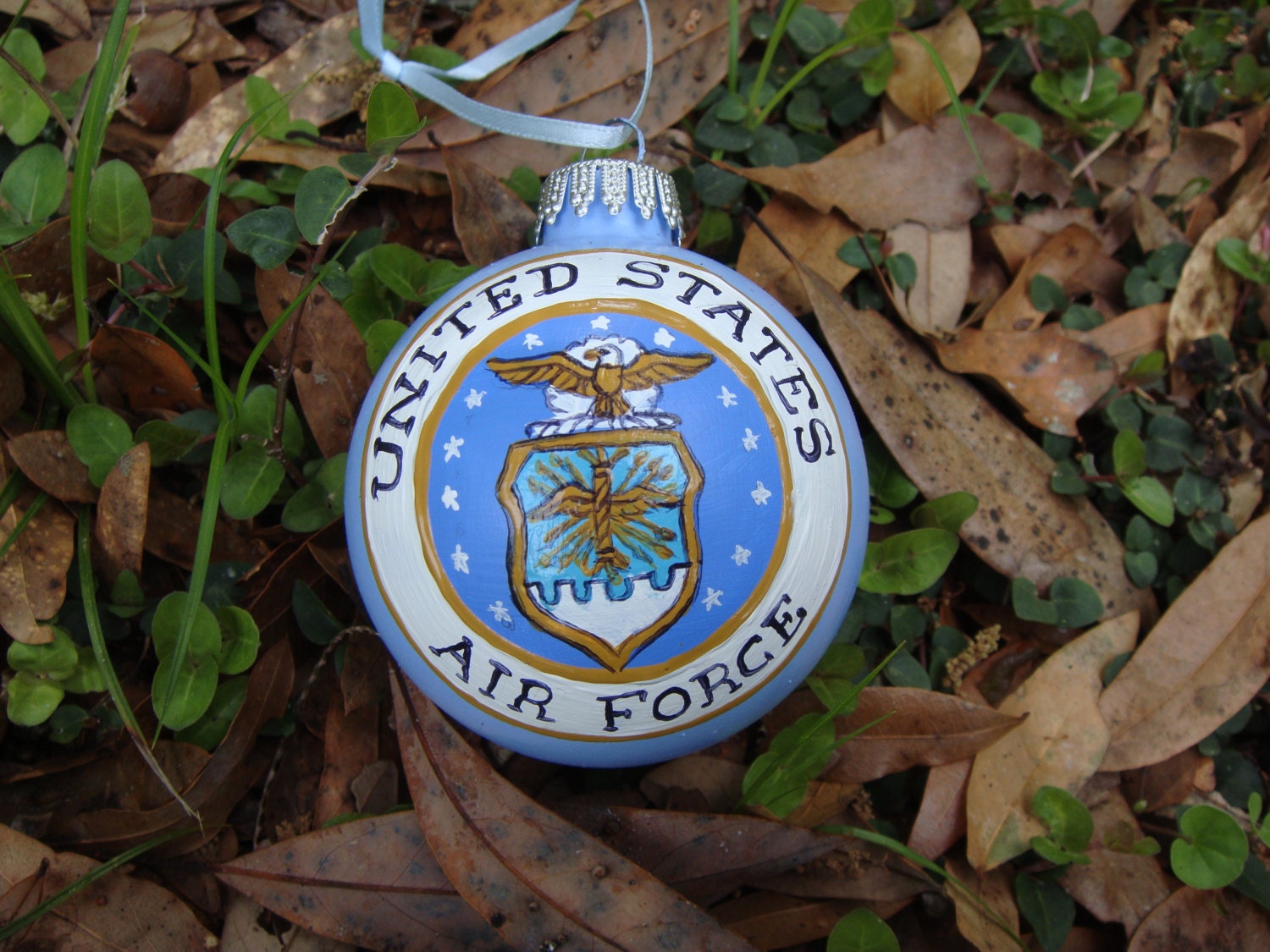Hand Painted Glass Ornament with Air Force insignia orn21