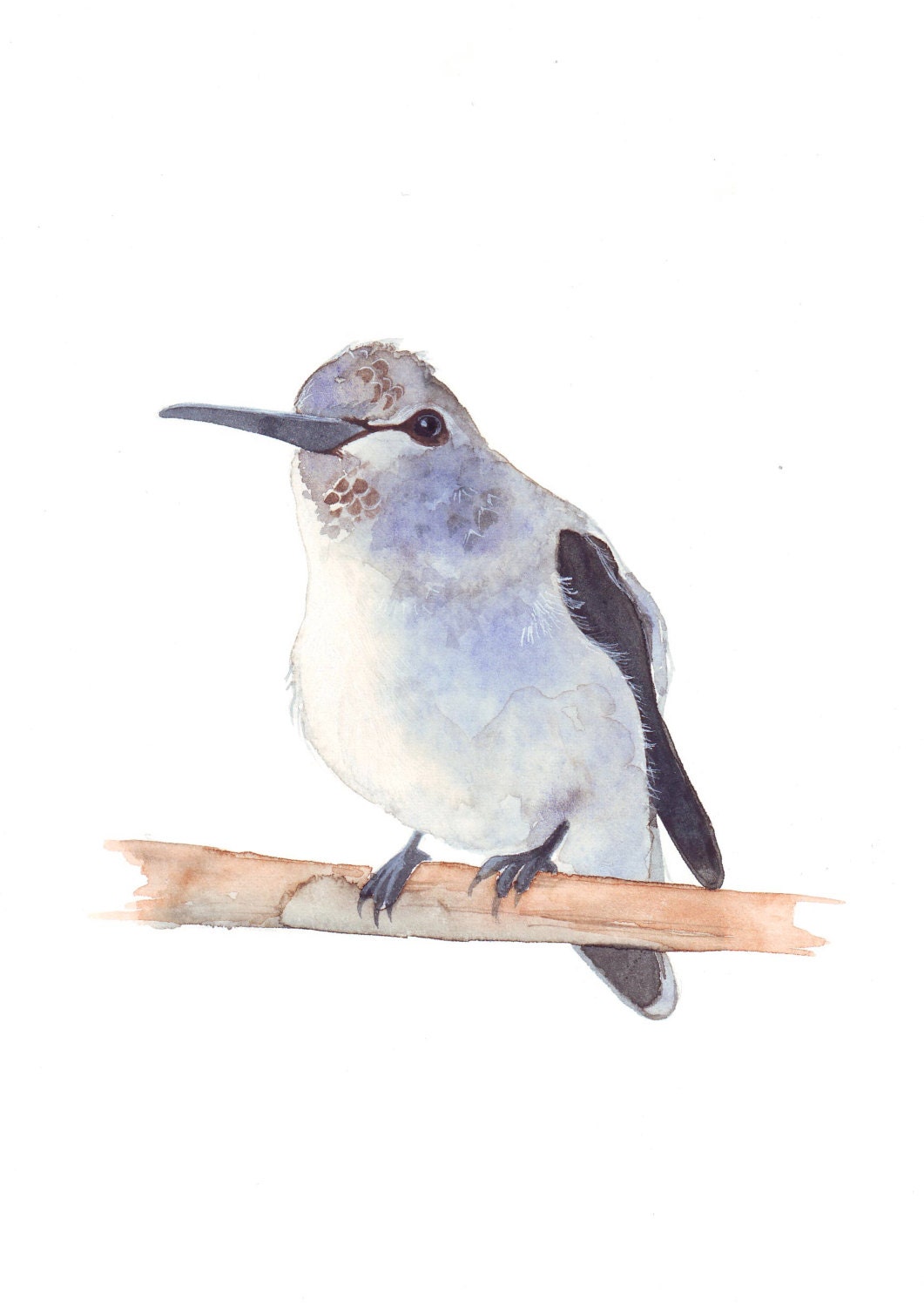 Humming bird Painting bird print of watercolor painting 5 by 7 print
