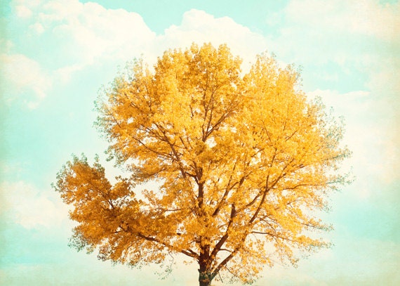 5x7 Tree Photography - yellow mint light gold teal turquoise white nature fine art print sky modern wall art photograph, "Silence is Golden"