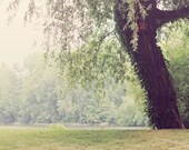 Come Sit A Spell - Fine Art Landscape Photography, riverside, nature, soft, home decor