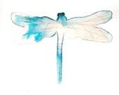 pale azure blue and white dragonfly. original watercolour painting