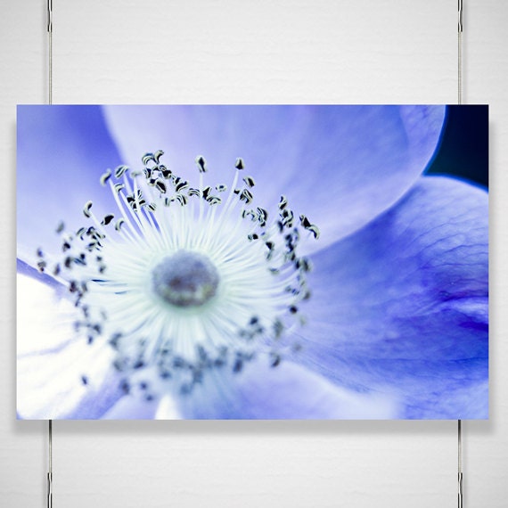 Macro Flower Photography - 8x12 photograph print - blue purple flower glowing moonlight space surreal magical 'Lunar Blossom'