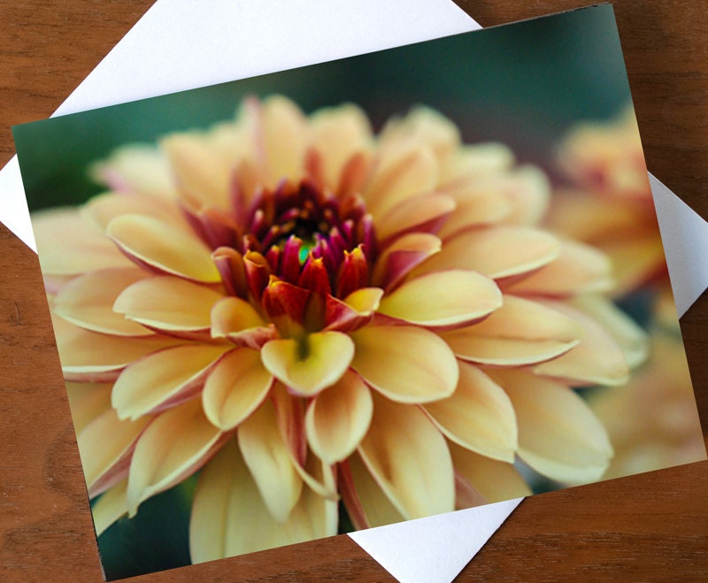 Yellow Dahlia Card, Blank Greeting Card, Note Card