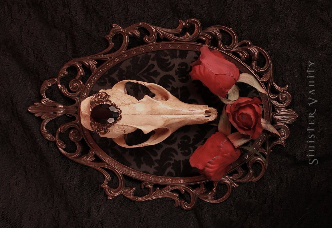 Gothic Taxidermy Skull Curio Antique Brass Filigree Frame with red Roses Wall Art Plaque