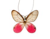 Real Butterfly Wing Necklace 18" - Cithaerias Merolina, Butterfly Wing, Butterfly Jewelry, Butterfly Necklace, Real Butterfly