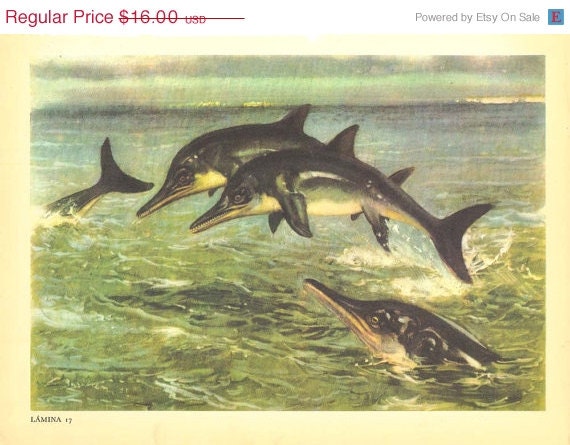 Stenopterygius Vintage Print Prehistoric Animal Ichthyosaur.