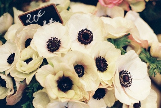 French pastel bouquet peach cream flowers - Rendez-vous in Paris -  fine art film print 8 x 8