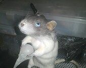 Sky, a taxidermy rat with latex bat wings