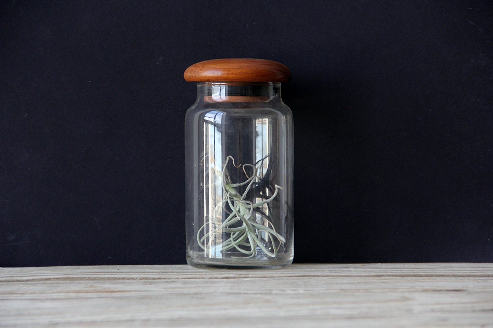 Glass Jar with Teak Lid