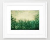 25% Off SALE tree photo. nature home decor. moody landscape, trees, branches, autumn, green, sky photo. wall art. turquoise mint 6x9