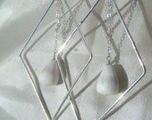 Sterling Silver Shell Earrings.