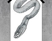 Scales - A4 Printed illustration, snake, nature, tribal