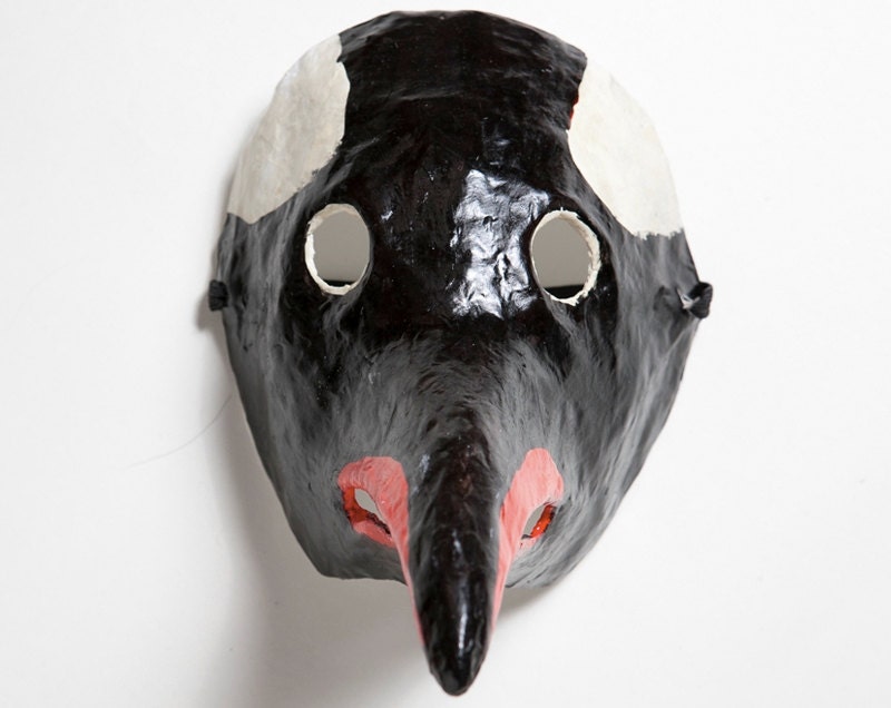 Paper mache bird mask