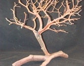 Manzanita Tree Decoration on a Manzanita Wood Base
