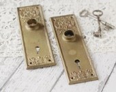 Antique Victorian Era Brass Toned Door Escutcheons/Backplates - Art Nouveau style
