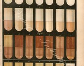 Antique Science Print, TEST TUBE OIL Chart 1 1889 wall art vintage color lithograph illustration scientific