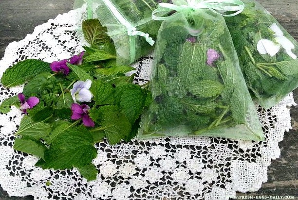 Organic Herbal Blend Chicken Nesting Box Fresh Dried Herb Mint Lemon Balm Violet Lavender Rose Fragrant Pot Pourri Drawer Sachets Set of 3