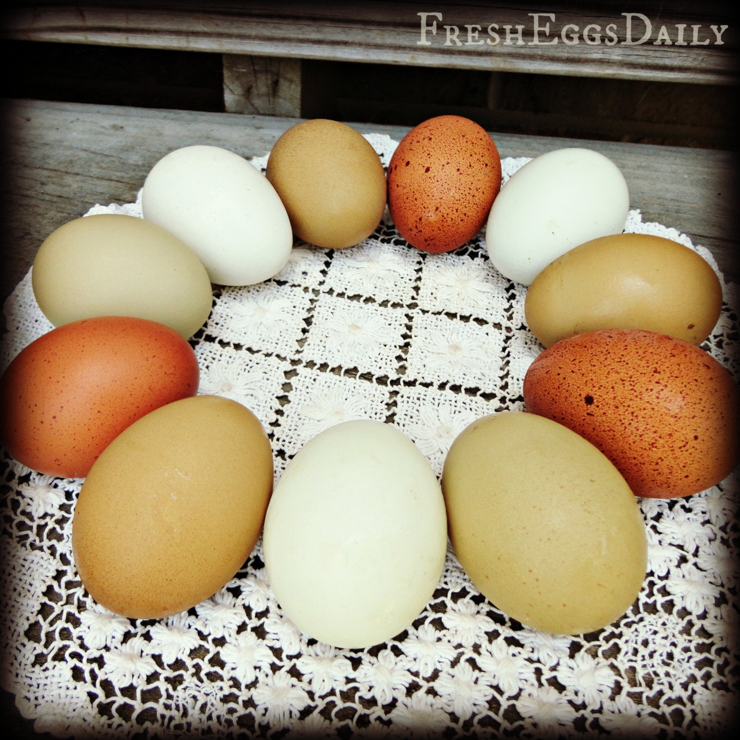 Natural Earth Tone Hand-Blown Chicken Eggs Dark Chocolate Brown Olive Green Dozen Pysanky Easter Egg Holiday Crafts