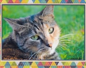 Photo Note Card,  Grey Tiger Cat - Handmade, Blank, Frameable