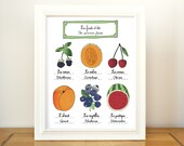 Kitchen Art Summer Fruits 11x14 giclee art print of original illustration home decor French Kitchen Food farmer's market botanical chart