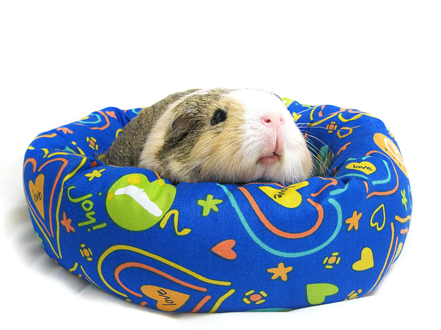 Joy and Love Guinea Pig Cuddle Roll