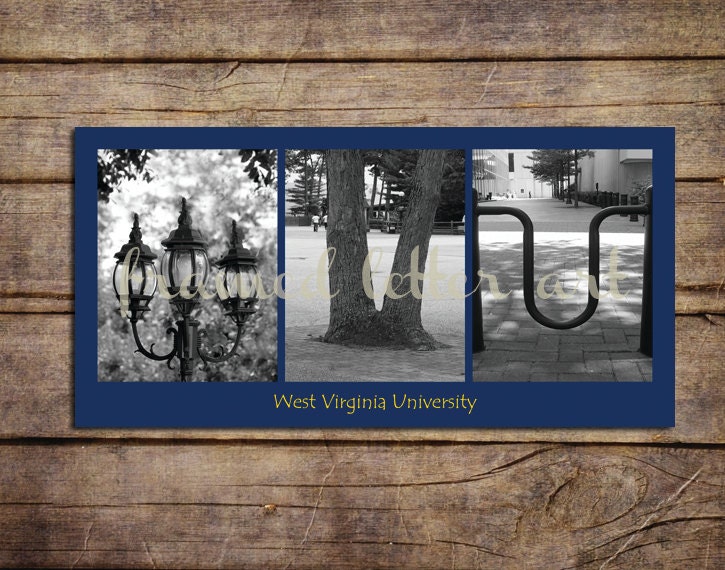 West Virginia University Letter Art 10 x 20