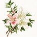 PINK and WHITE AZALEAS Dell and Bower Vintage Flower Printable Digital Image for Cardmaking Mixed Media Scrapbooking