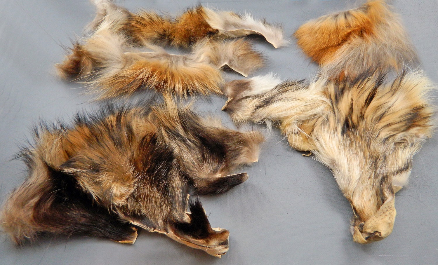 Fur Scraps MIXED Fox Raccoon Beaver MS13 Arctic Store Arktika Russia