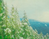 Winter Photograph 8x10, Blue and Green Nature Photography, Landscape Photo, Evergreen Forest Wall Art,  Fir Trees, Whistler Ski Lodge Decor