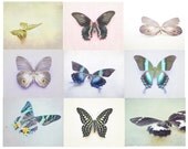 Butterfly Photography Set of 9 Photos, Pastel Shabby Chic Decor, Butterflies Nursery Prints, Nature Photographs, Girly Wall Art