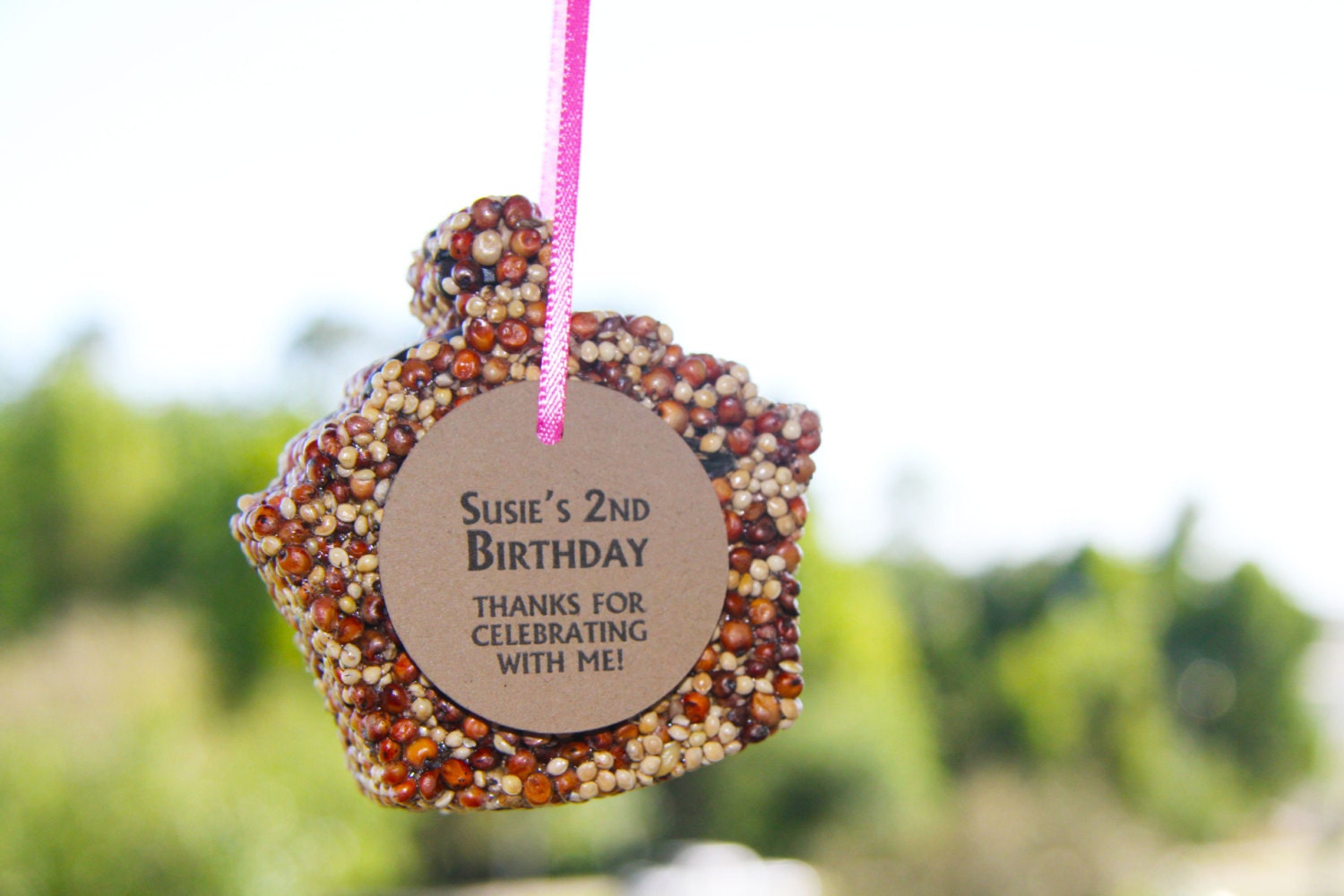 12 Bird Seed Cupcake Favors - personalized, customizable, party, birthday, eco friendly