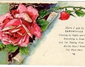 Vintage Pink Rose Embossed Postcard Saronville Nebraska Greeting 1909