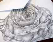 Greeting Cards Stationery Note Cards Blank Honduran Rose Floral Flower Pencil Drawings Black White Art Print Thinking of You Birthday