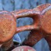 Stock Photography Macro Facet Digital Fine Art Photography