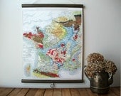 Canvas Vintage Style School Map with Wood Trim  - Geologic Map of France (17"x22")