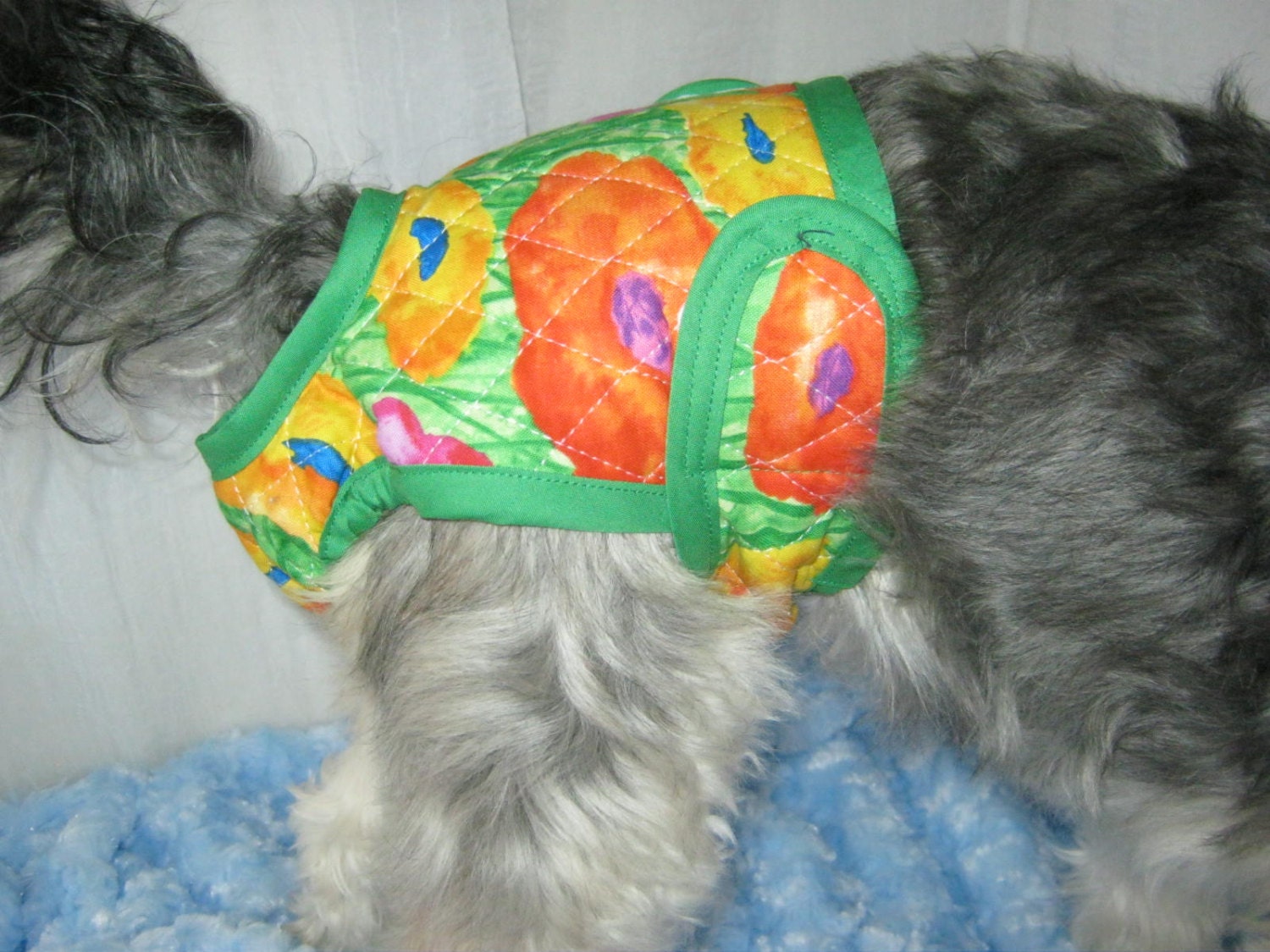 Puppy Panty