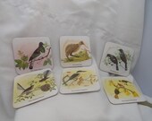 Set of 6 Vintage Paper Coasters - New Zealand Birds Il_170x135