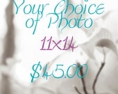 Your Choice of Photo in 11x14