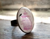 Antique Bronze Oval Cameo Adjustable Ring With Original Illustration of Black Bird Perched on a Pink Birdcage