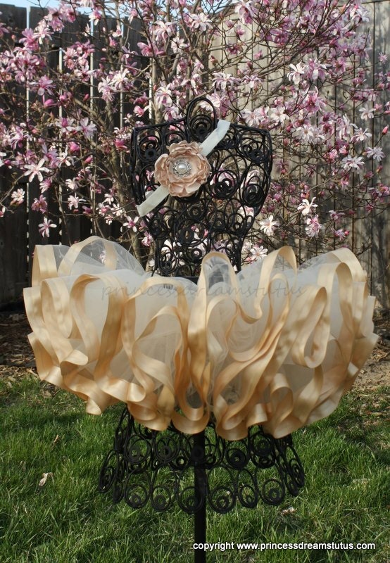 Vintage Beige Satin Ribbon Tutu with Matching Satin Headband Size 6-18 Months