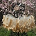 Vintage Beige Satin Ribbon Tutu with Matching Satin Headband Size 6-18 Months