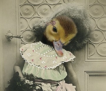 Earta - Vintage Duck 5x7 Print - Altered Photo - Anthropomorphic - Digital Collage - Cat Photo - Whimsical Art - Gift for a Child