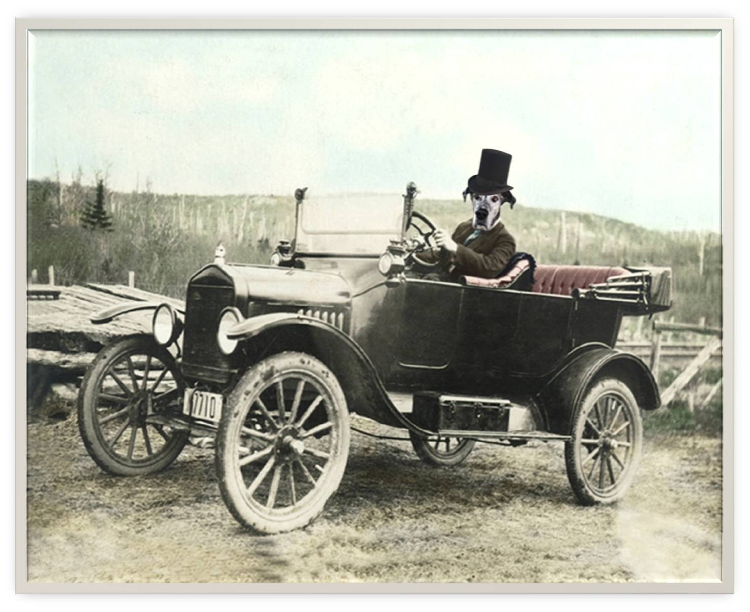 Dr. Moby - Note Card Set of 6 - Vintage Anthropomorphic -  Animal Cards - Altered Photo - Gift Card