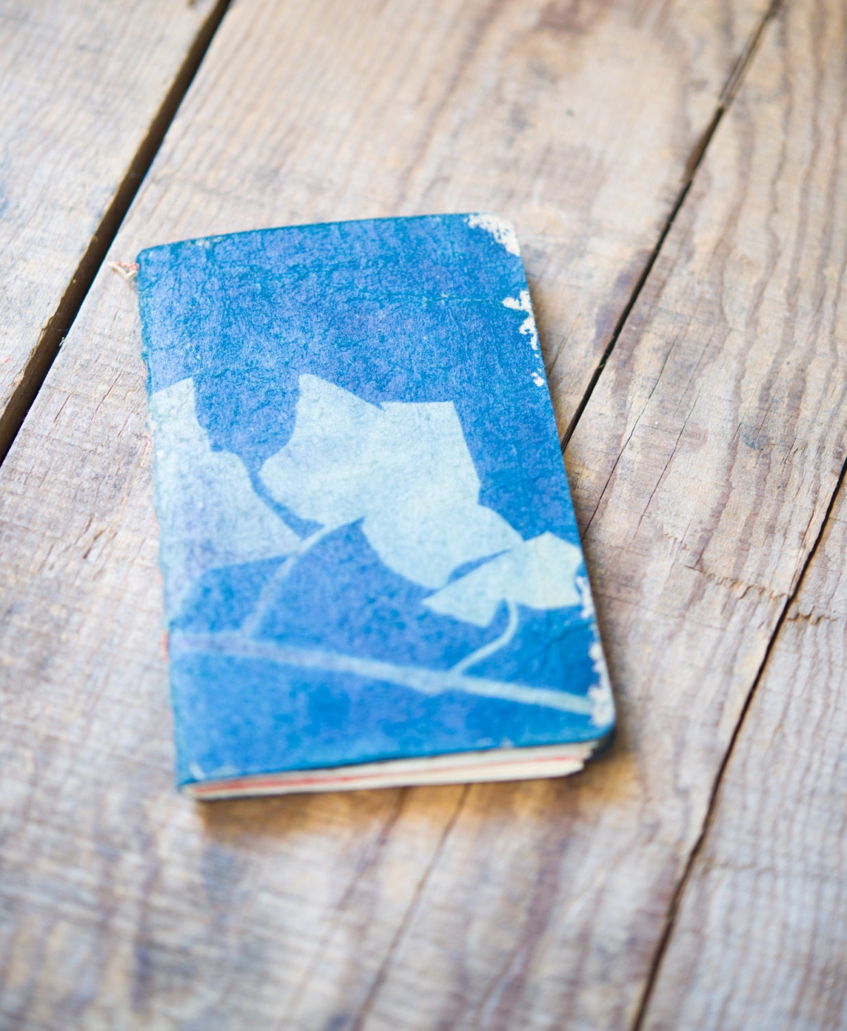 Cyanotype Notebook