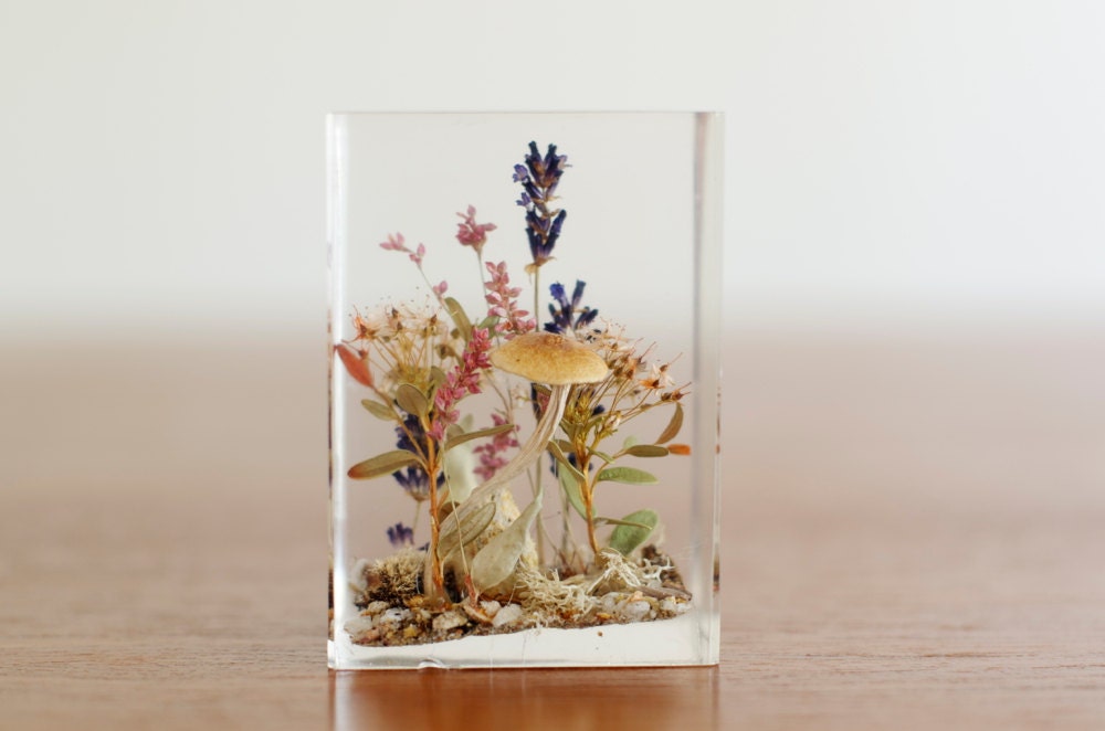 Vintage Lucite Dried Flower Mushroom Terrarium/Paperweight