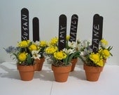 Flower Pot Place Card Holders for Garden Party - WestTwinCreations