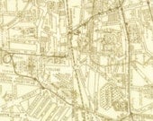 Paris Flea Market Paris Map Fabric by 3 Sisters for Moda 3736 11 China White