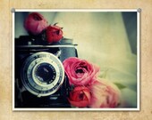 Vintage Camera Photography Ansco Speedex--Fine Art Lomography Print 8x10