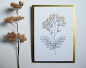 Tansy Flower Greetings Card